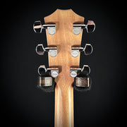Taylor 210ce