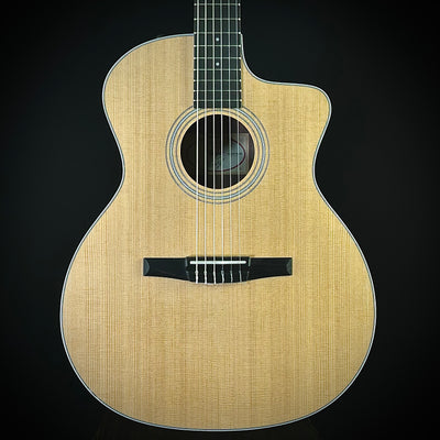 Taylor 214CE - Nylon