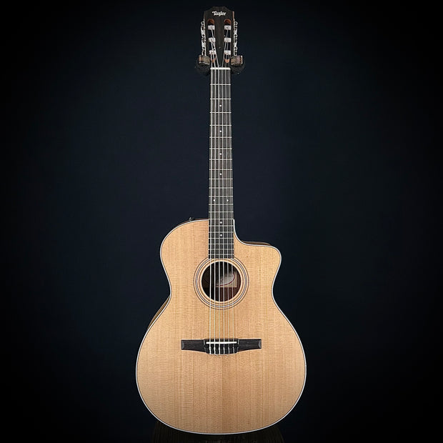 Taylor 214CE-Nylon