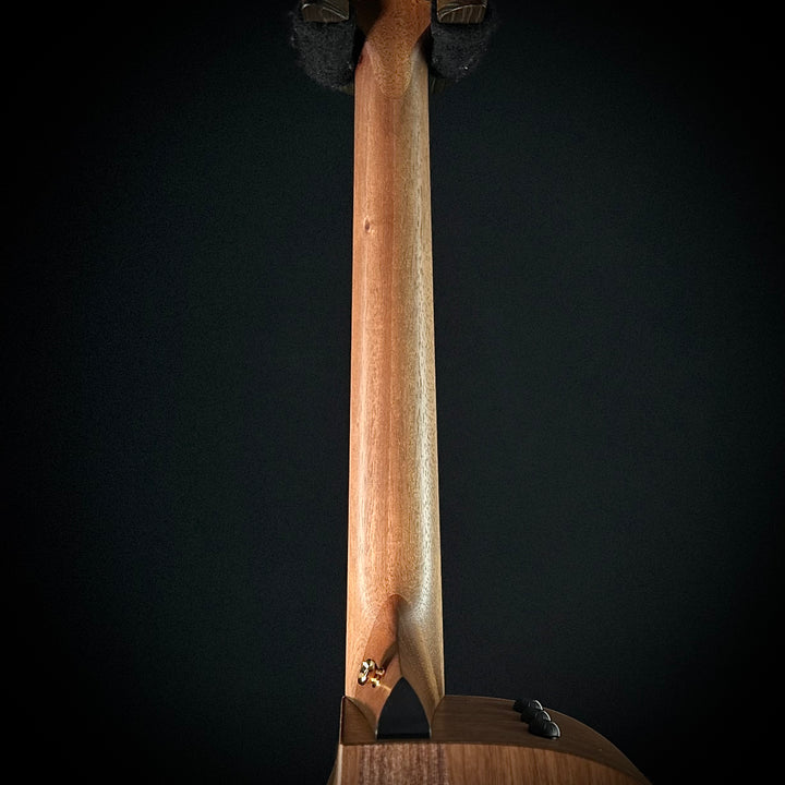 Taylor 50th Anniversary AD14ce-SB LTD