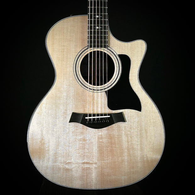 Taylor 314ce Special Edition - Indian Rosewood