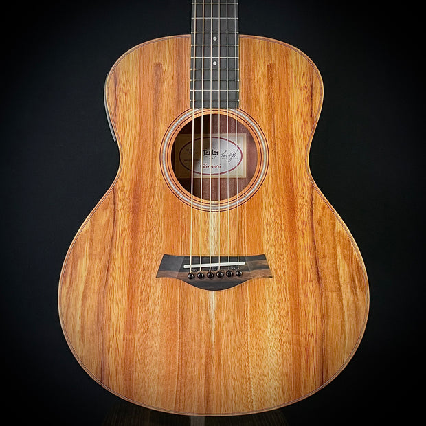 Taylor GS Mini-e-Koa