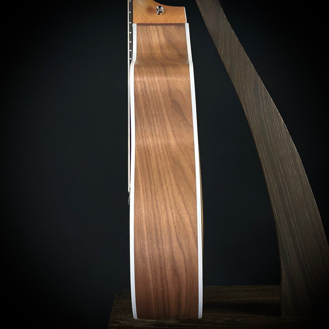Taylor 214CE-Nylon