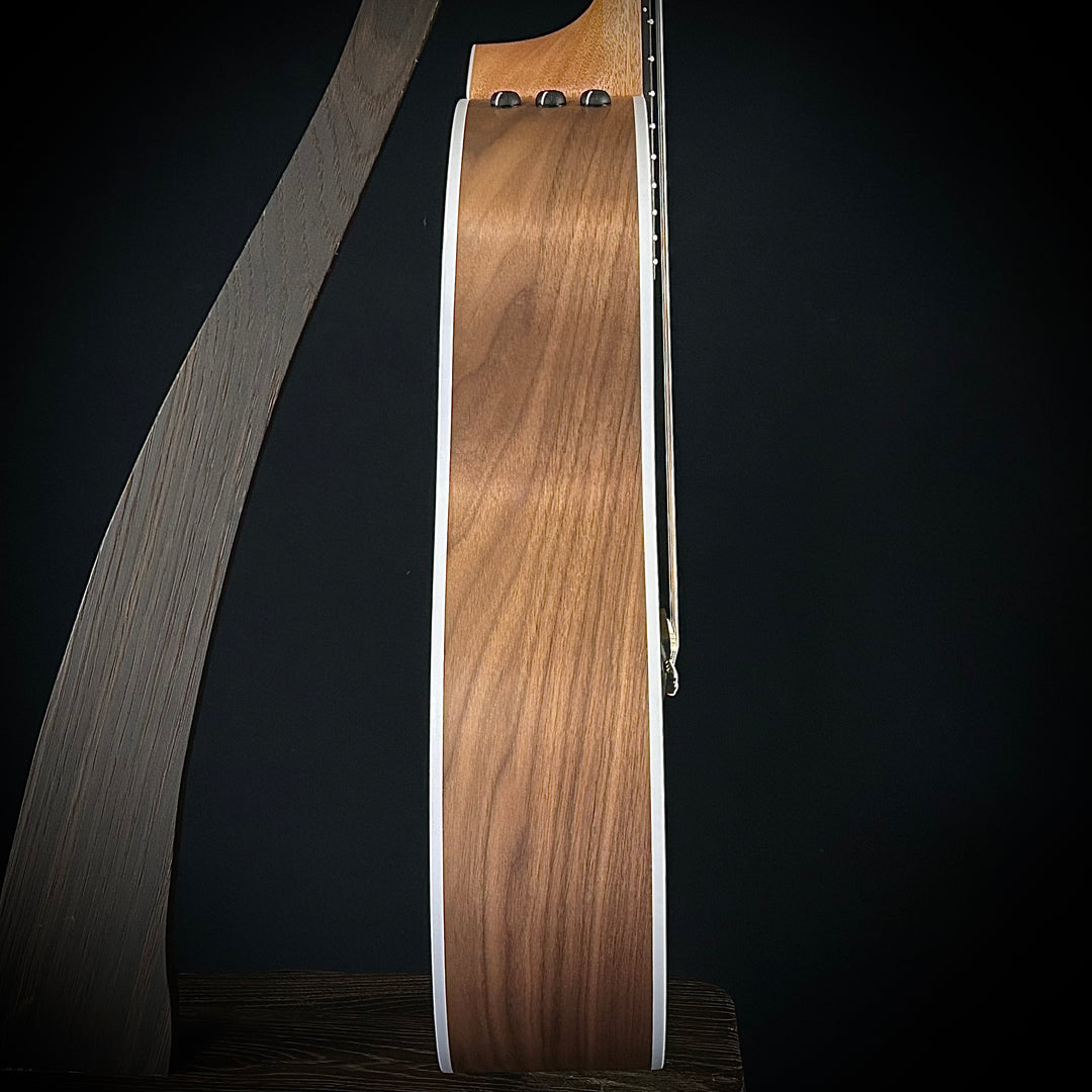 Taylor 214CE-Nylon