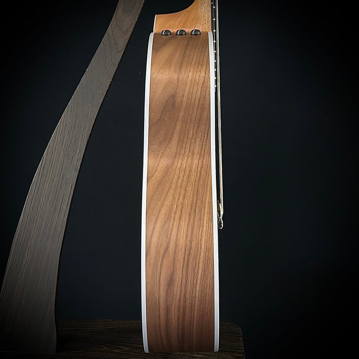 Taylor 214CE-Nylon