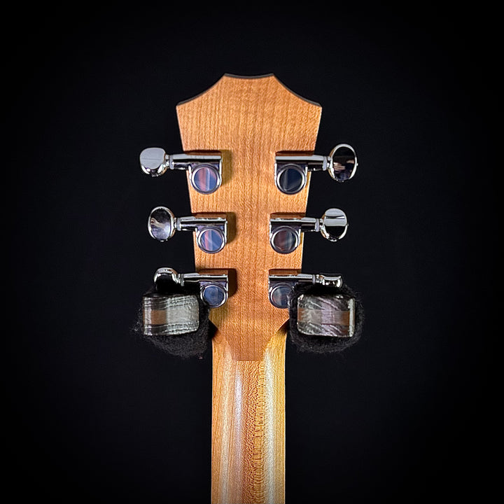Taylor BT1