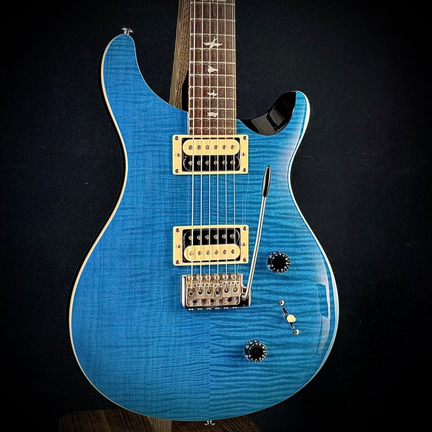 PRS SE Custom 24 (USED)