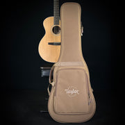 Taylor 214CE-Nylon