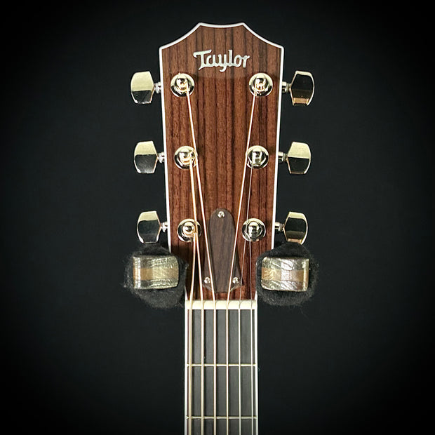 Taylor Legacy 815e