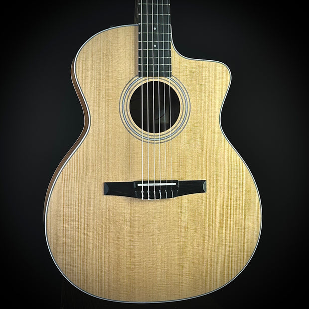 Taylor 214CE - Nylon