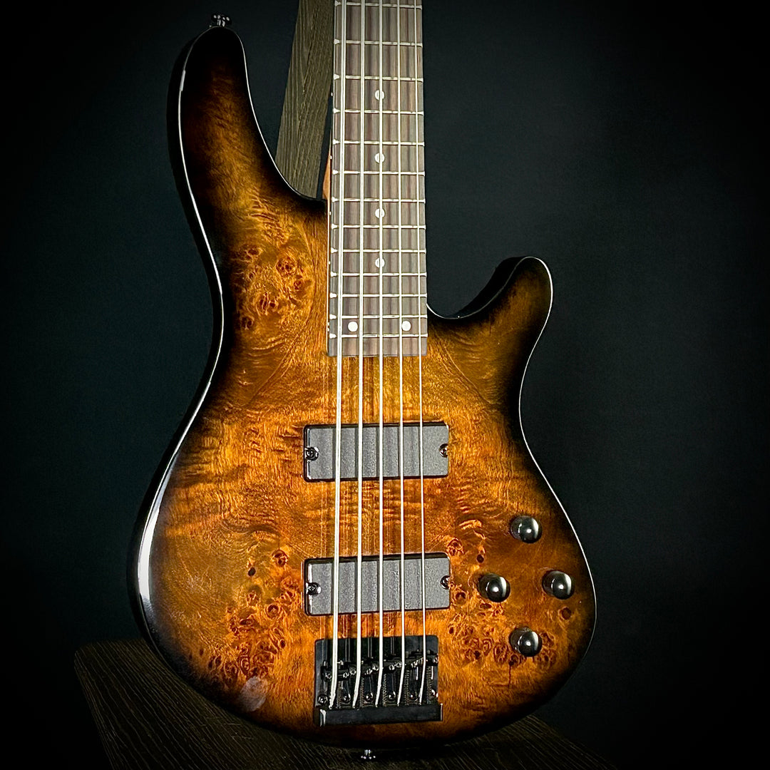 Schecter C-5 Standard