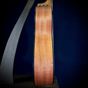 Taylor 114ce - Sapele