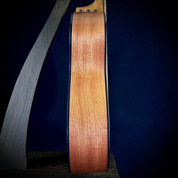 Taylor 114ce - Sapele