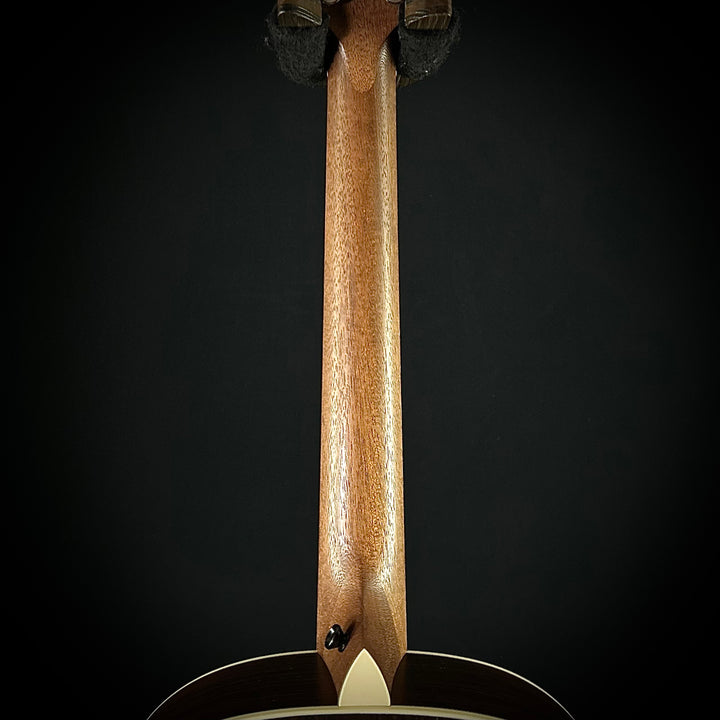 Taylor C17 MV Custom Grand Pacific - Rosewood (USED)