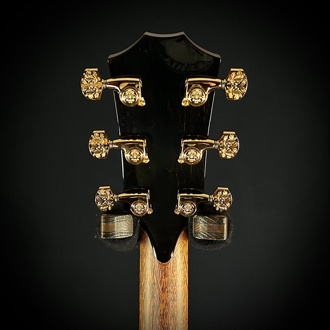 Taylor 50th Anniversary PS14ce LTD & Circa 74 Amp
