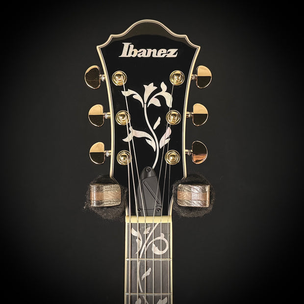 Ibanez Artcore Expressionist AS93SP