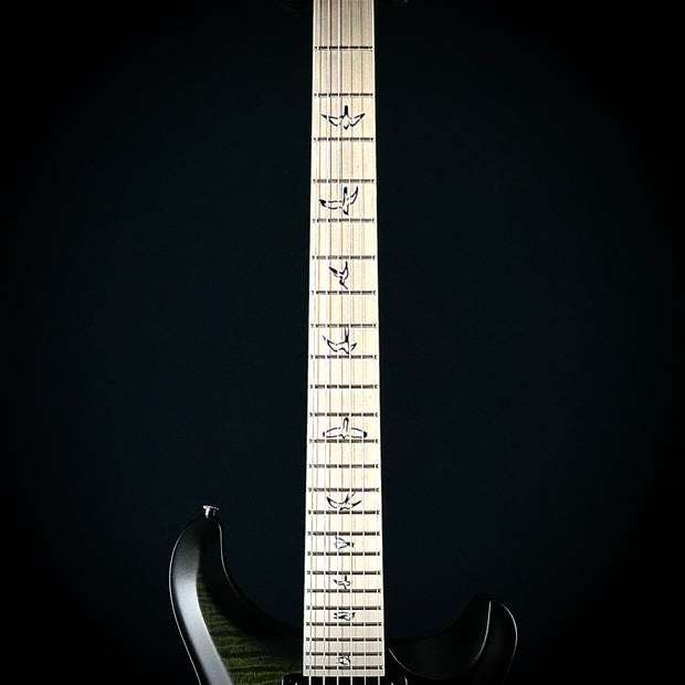 PRS Dustie Waring CE24 Hardtail Limited Edition