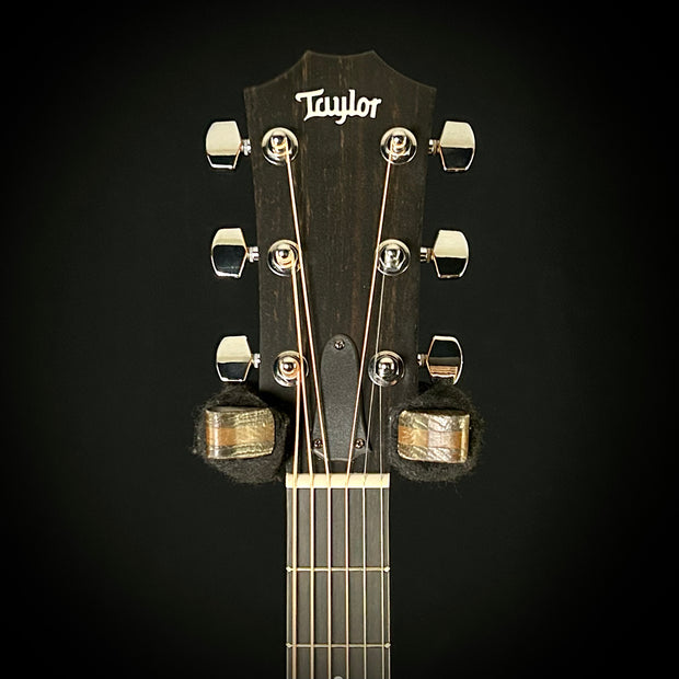 Taylor 210ce