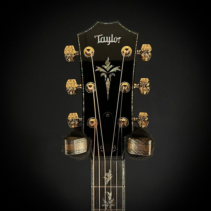 Taylor 50th Anniversary PS14ce LTD & Circa 74 Amp