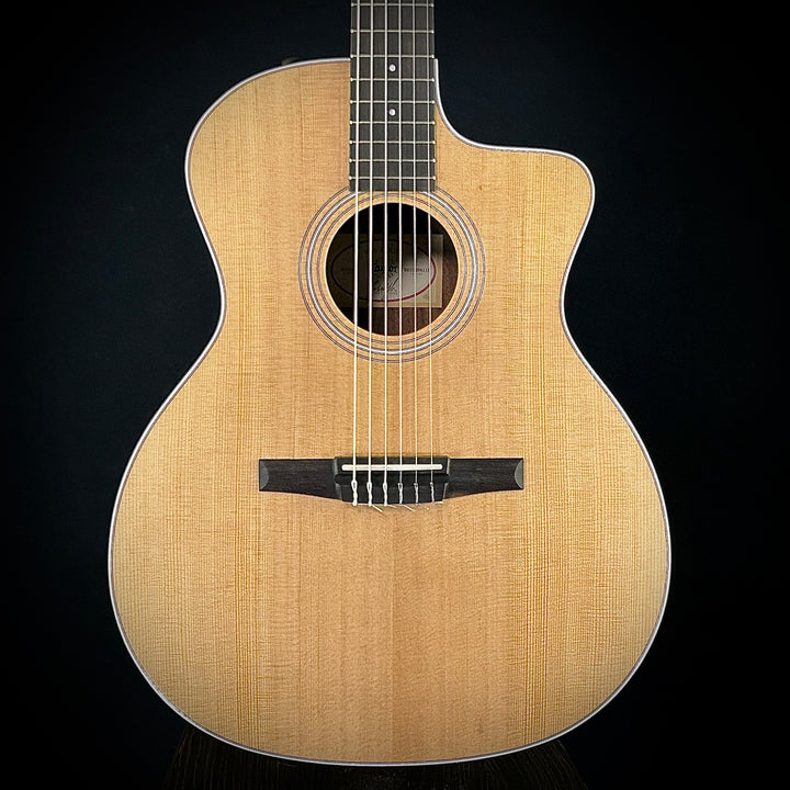 Taylor 214CE-Nylon