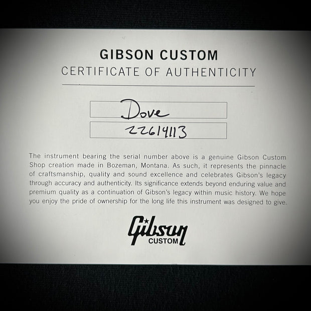 Gibson MV Custom Dove - Trans Black