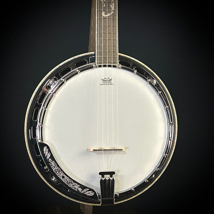 Ibanez B300 5-String Resonator Banjo