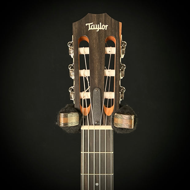 Taylor 214CE-Nylon