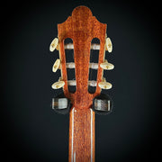 Cordoba Friederich - Cedar/Rosewood