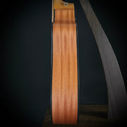 Taylor 110CE - Sapele