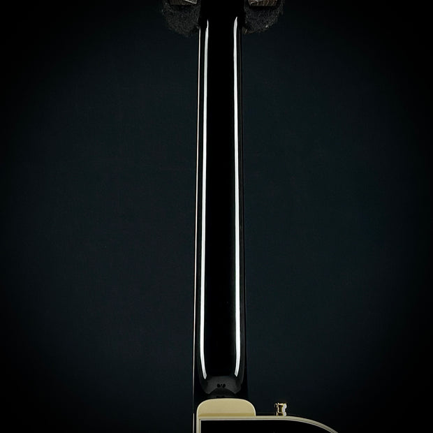 Gretsch G6134TG Limited Edition Paisley Penguin