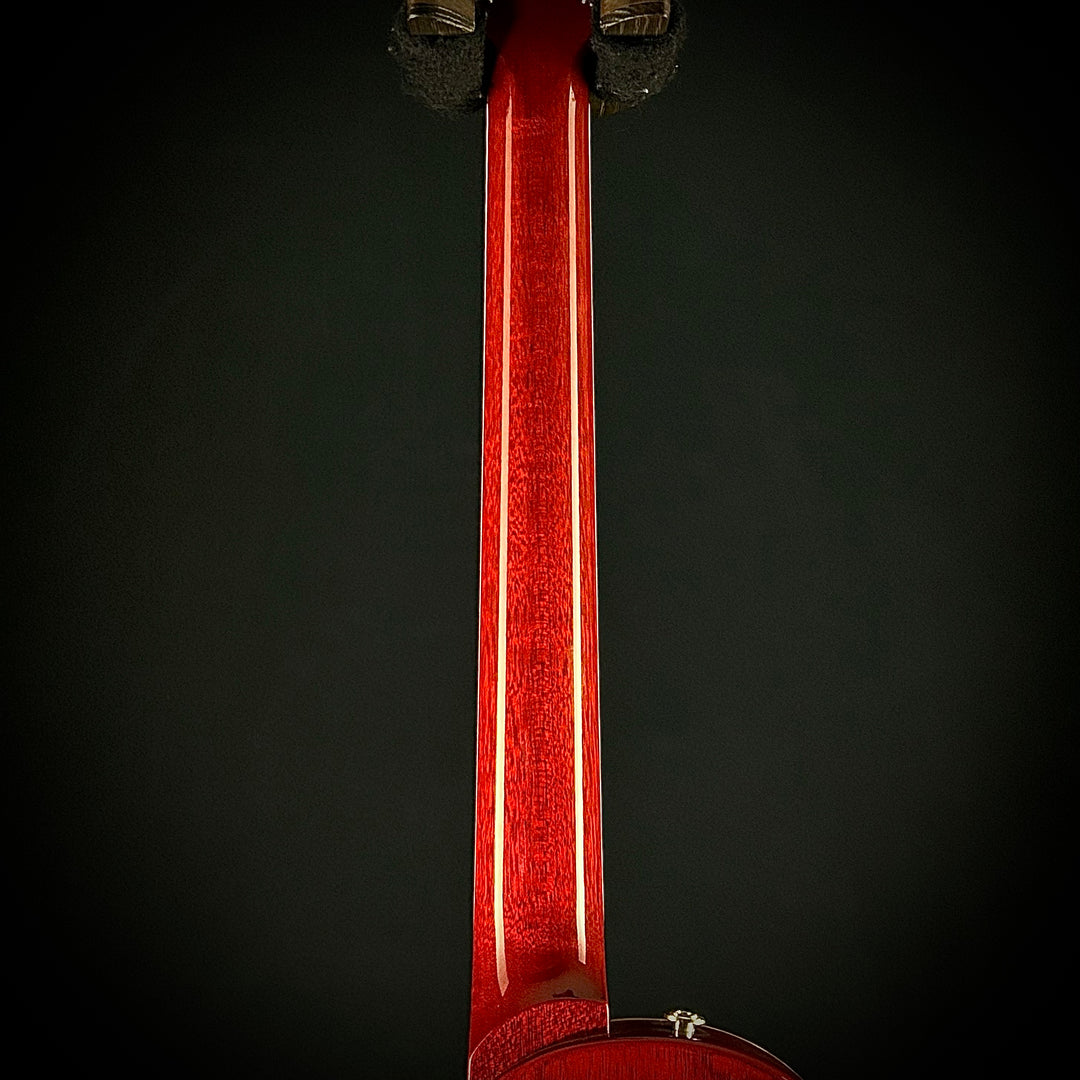 PRS McCarty Singlecut Joe Walsh Limited (USED)