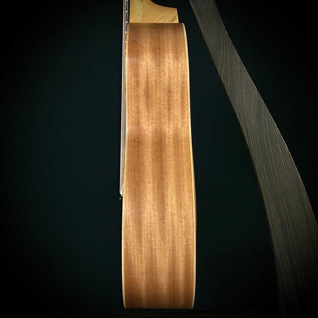 Taylor GS Mini - Lefty