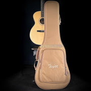 Taylor 214ce-Nylon