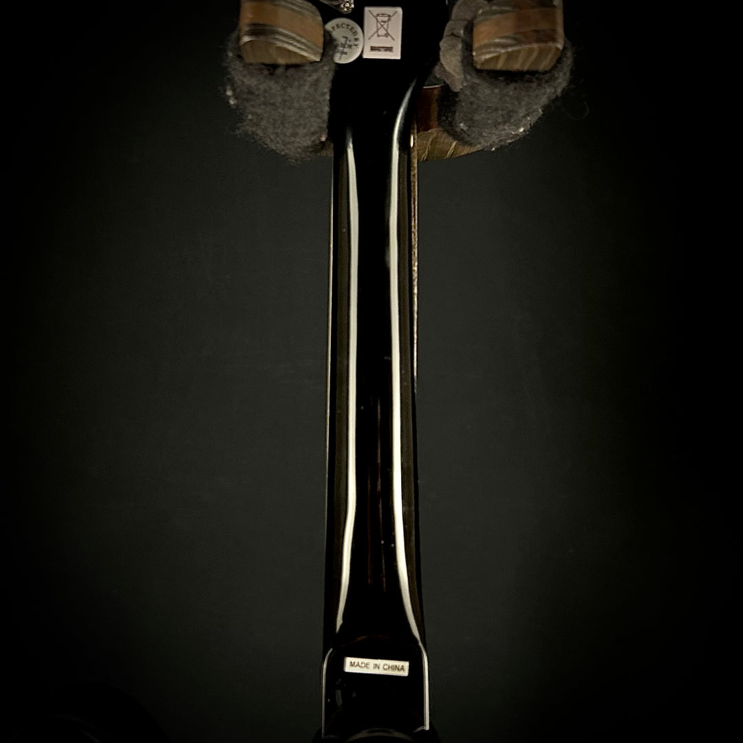 Epiphone Mandobird