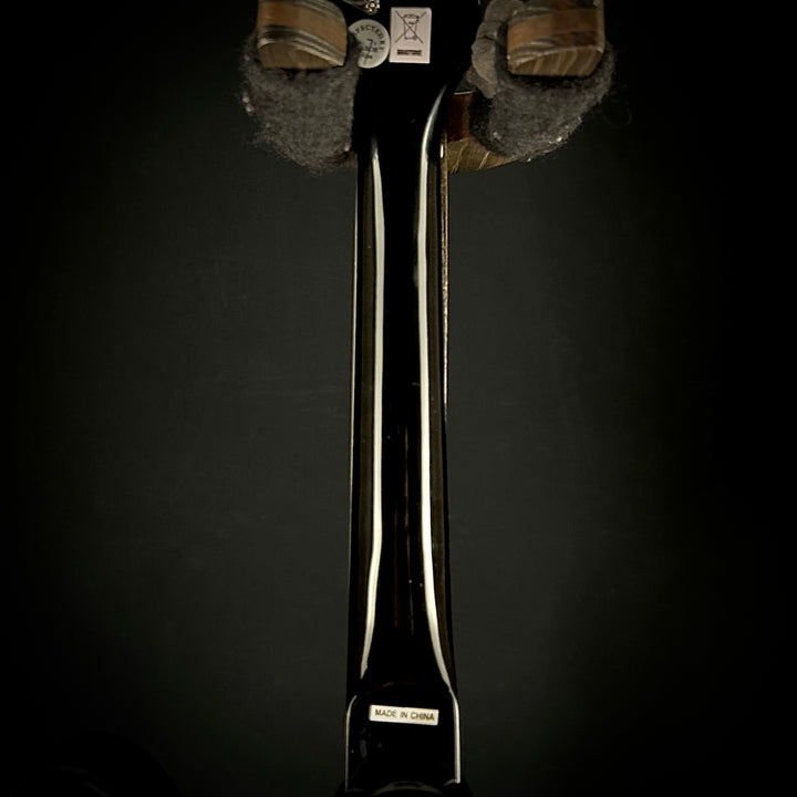 Epiphone Mandobird