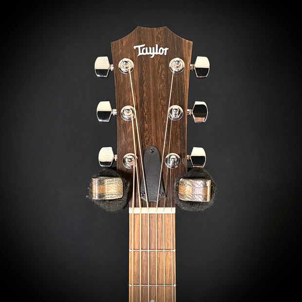 Taylor 110CE - Sapele