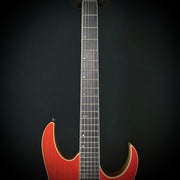 Ibanez RGR5221 Prestige