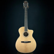 Taylor 214ce-Nylon