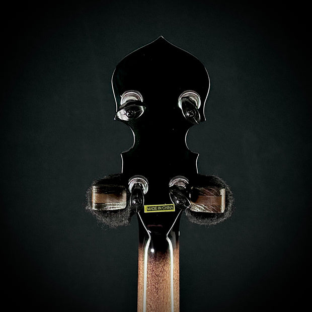 Gold Tone Mastertone ML-1 - Missing Link Béla Fleck Baritone Banjo