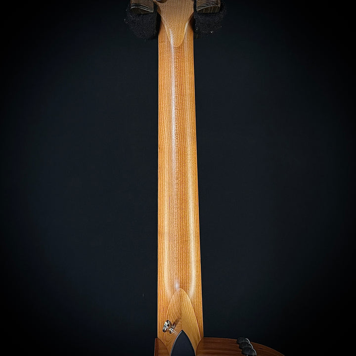 Taylor 110CE - Sapele