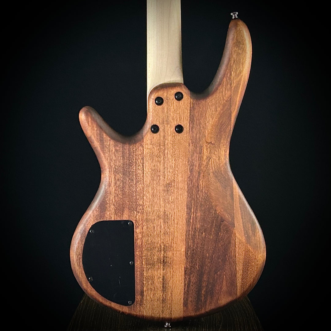 Ibanez GSR100EX