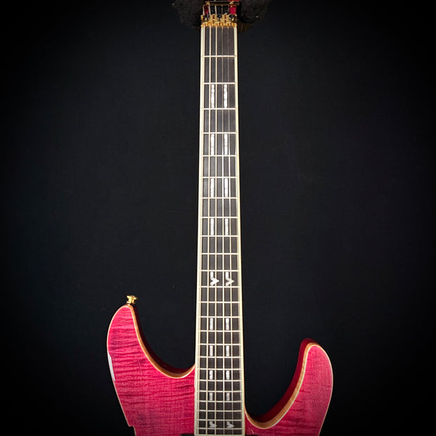 Peavey Adrian Vandenberg Signature