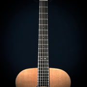 Eastman E10M-Special