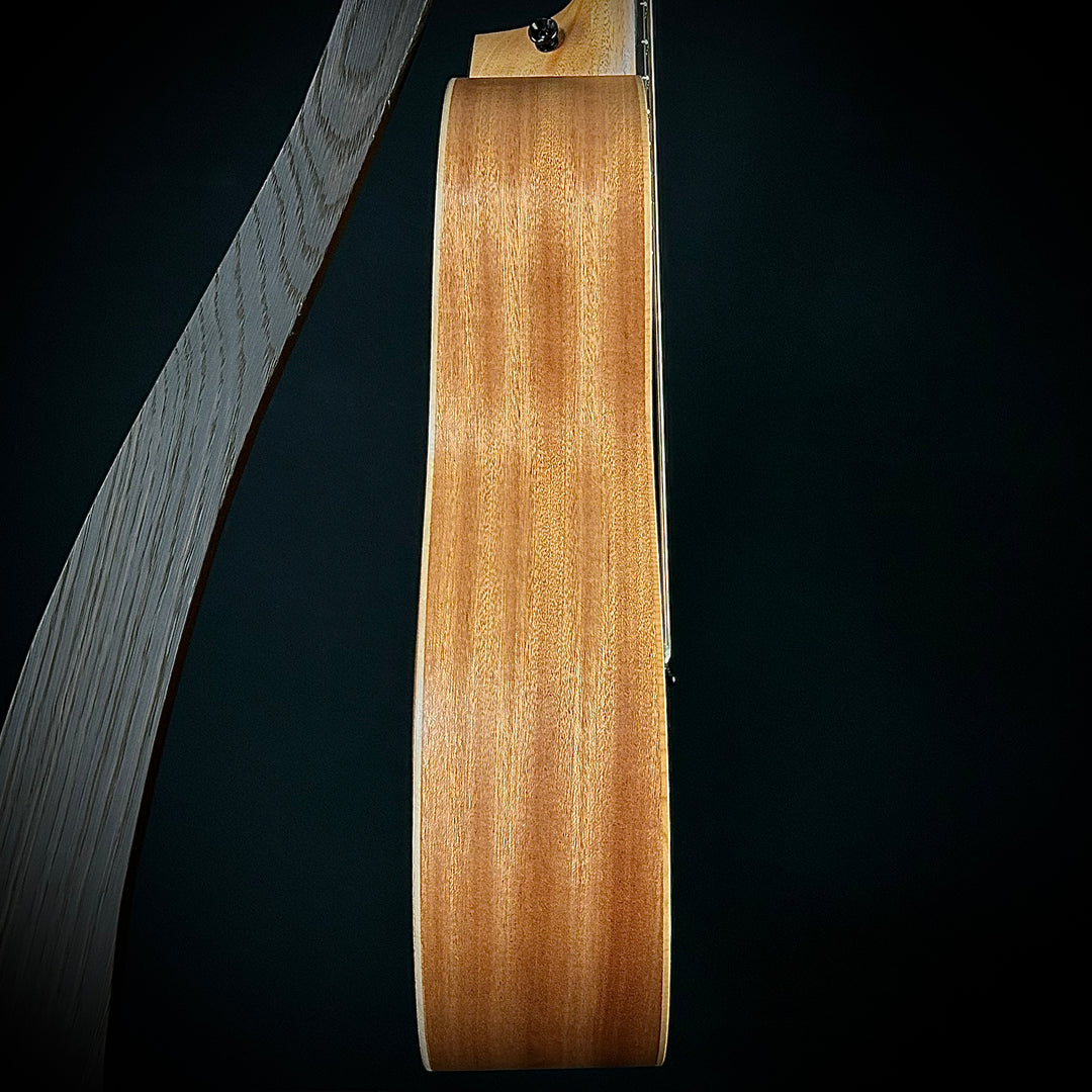 Taylor GS Mini - Lefty