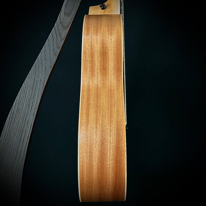 Taylor GS Mini - Lefty