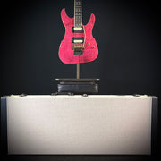 Peavey Adrian Vandenberg Signature