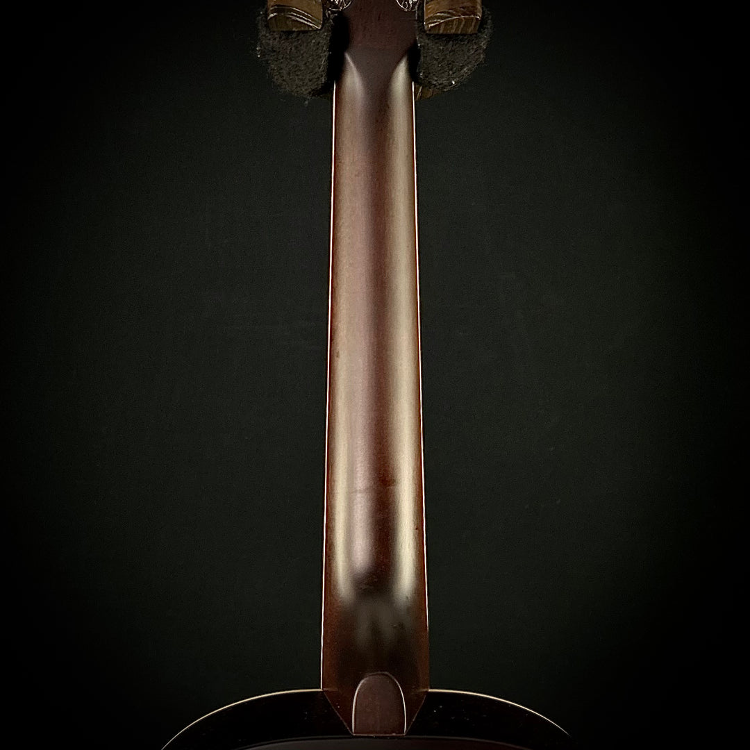 Gretsch Jim Dandy Parlor - Rex Burst