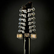 Schecter Stargazer 12