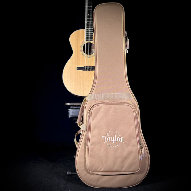 Taylor 214CE - Nylon