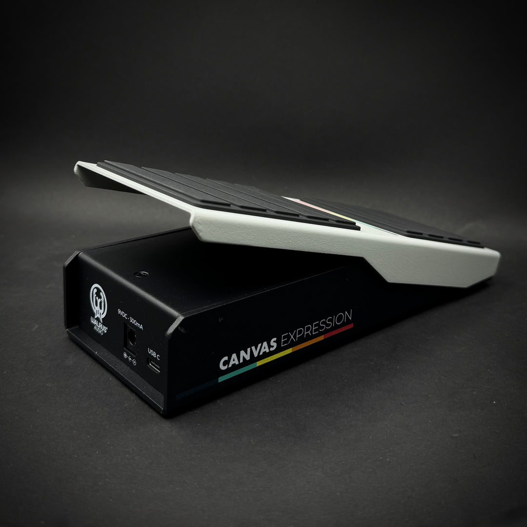 Walrus Audio Canvas Expression Pedal